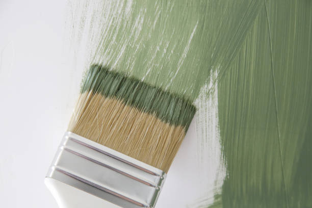Best Mold Prevention Services  in Apache, OK