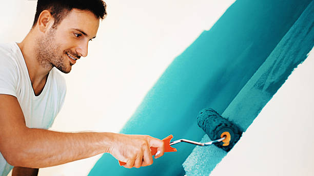 Apache, OK Mold Removal Company